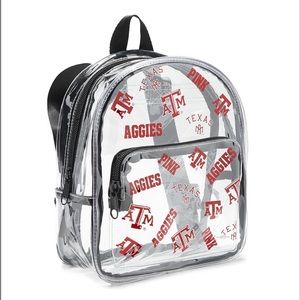 Pink VS Collegiate Clear Micro Backpack